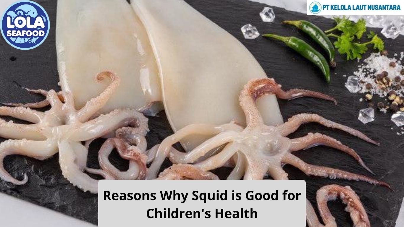 Reasons Why Squid is Good for Children's Health